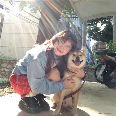 猪猪侠第三部:勇闯未来之城